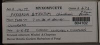 Image Associated With the Occurence